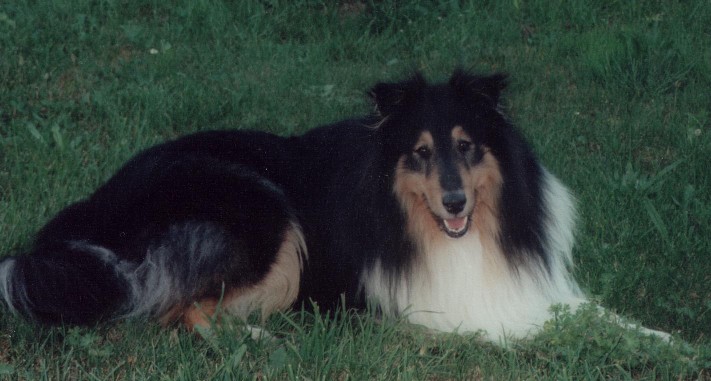 Blacky