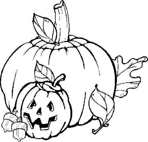 Kürbis